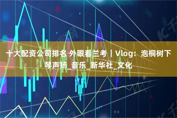 十大配资公司排名 外眼看兰考｜Vlog：泡桐树下琴声扬_音乐_新华社_文化